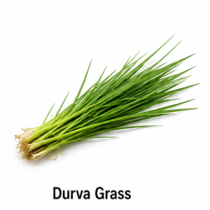Store durva grass (1)