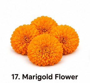 Store flower (1)