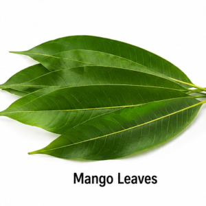 Store mango leaves (1)