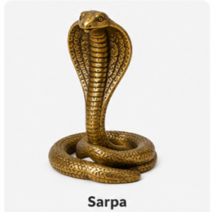 Store shiv ji accseriese sarpa