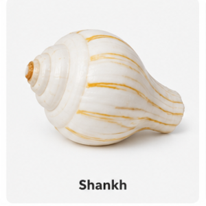 Store shiv ji accseriese shankh