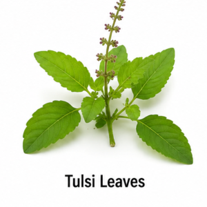 Store tulsi leaves